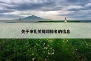 关于申扎关键词排名的信息