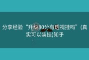 分享经验“升级80分有透视挂吗”(真实可以装挂)知乎