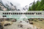 淘宝商家引流微信话术&amp;淘宝微信推广引流可信吗