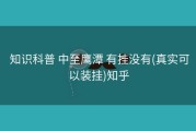  知识科普 中至鹰潭 有挂没有(真实可以装挂)知乎