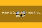  玩家亲测 白金汉 怎么开挂(真实可以装挂)知乎