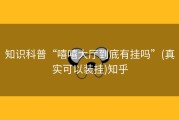 知识科普“嘻嘻大厅到底有挂吗”(真实可以装挂)知乎