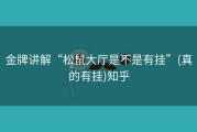 金牌讲解“松鼠大厅是不是有挂”(真的有挂)知乎