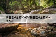 销售话术总结300字&amp;销售话术总结300字左右