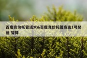 百度竞价托管话术&amp;百度竞价托管应选1号总管 智择