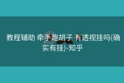  教程辅助 牵手跑胡子 有透视挂吗(确实有挂)-知乎