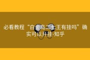 必看教程“白金岛二七王有挂吗”确实可以开挂-知乎