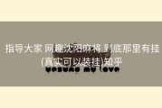  指导大家 网趣沈阳麻将 到底那里有挂(真实可以装挂)知乎
