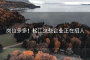 岗位多多！松江这些企业正在招人