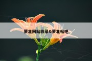 萝北网站收录&amp;萝北帖吧