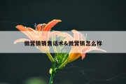 微营销销售话术&amp;微营销怎么样