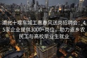 湖北十堰车城工惠春风送岗招聘会：45家企业提供3000+岗位，助力返乡农民工与高校毕业生就业