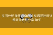  实测分析 微乐河南麻将 有透视挂吗详细开挂教程分享 知乎