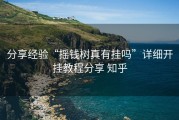 分享经验“摇钱树真有挂吗”详细开挂教程分享 知乎