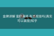  金牌讲解 蛮籽麻将 有透视挂吗(真实可以装挂)知乎