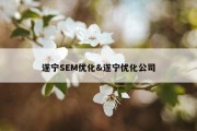 遂宁SEM优化&amp;遂宁优化公司