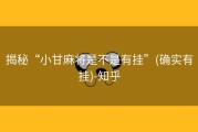 揭秘“小甘麻将是不是有挂”(确实有挂)-知乎