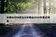 石嘴山SEM优化&amp;石嘴山2020年重点项目