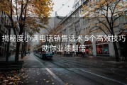 揭秘度小满电话销售话术 5个高效技巧助你业绩翻倍