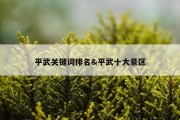平武关键词排名&amp;平武十大景区