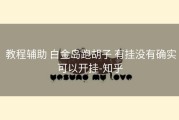  教程辅助 白金岛跑胡子 有挂没有确实可以开挂-知乎