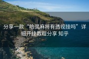 分享一款“哈灵麻将有透视挂吗”详细开挂教程分享 知乎