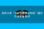 指导大家“功夫川麻有没有挂”确实可以开挂-知乎