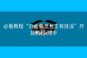 必看教程“白金岛二七王有挂没”开挂教程-知乎