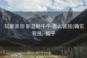  玩家亲测 新蓝鲸牛牛 怎么装挂(确实有挂)-知乎