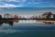 教程辅助“白金岛三打哈有挂吗”(真的有挂)知乎