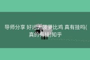  导师分享 好运大菠萝比鸡 真有挂吗(真的有挂)知乎