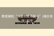 教程辅助“东游到底有挂吗”(确实有挂)-知乎