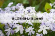 温江关键词排名&amp;温江全搜索
