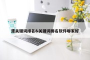 澧关键词排名&amp;关键词排名软件哪家好