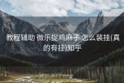  教程辅助 微乐捉鸡麻子 怎么装挂(真的有挂)知乎