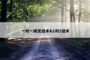 一对一成交话术&amp;1对1话术
