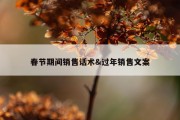 春节期间销售话术&amp;过年销售文案