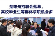 楚雄州招聘会落幕，高校毕业生等群体求职机会多