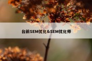 台前SEM优化&amp;SEM优化师