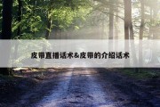 皮带直播话术&amp;皮带的介绍话术