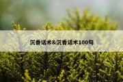 沉香话术&amp;沉香话术100句