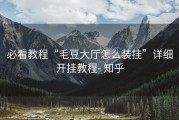 必看教程“毛豆大厅怎么装挂”详细开挂教程- 知乎