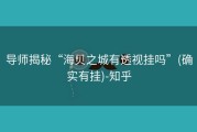 导师揭秘“海贝之城有透视挂吗”(确实有挂)-知乎