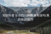  知识科普 乐乐四川麻将 真有挂吗(真的有挂)知乎