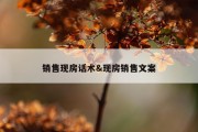 销售现房话术&amp;现房销售文案