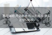  教程辅助 开运麻将 可以开挂吗(确实有挂)-知乎