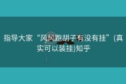 指导大家“风风跑胡子有没有挂”(真实可以装挂)知乎