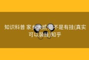  知识科普 家乡大贰 是不是有挂(真实可以装挂)知乎