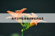 关于江宁区关键词排名的信息