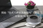 揭秘“功夫川麻到底有挂吗”(真实可以装挂)知乎